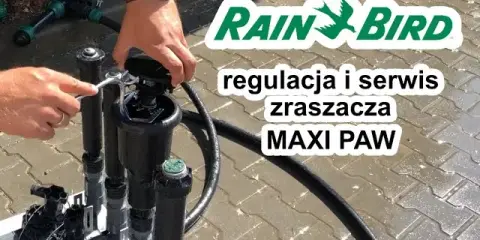Naprawa zraszacza Rain Bird: Zrób to sam i oszczędź!