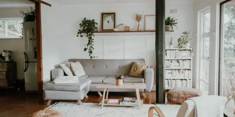 Przytulny salon w stylu skandynawskim nowoczesnym. Szara kanapa, drewniany stolik, regał z książkami i mnóstwo zieleni tworzą relaksującą atmosferę.