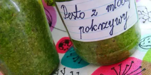 Dwa słoiki z zielonym pesto z pokrzywy, jedno z etykietą "Pesto z młodej pokrzywy".