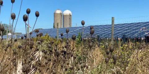Sonnenkollektoren hinter einem Zaun mit trockenen Pflanzen im Vordergrund und zwei Silos.