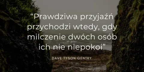 Krajobraz z cytatem o przyjaźni na tle klifów i morza.
