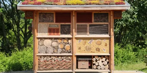 Un hotel de insectos con techo verde, lleno de materiales naturales como troncos, cañas y ladrillos, ofrece refugio a pequeños animales.