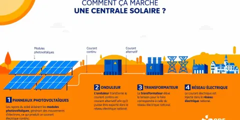 Schéma expliquant comment fonctionne une centrale solaire : panneaux captent le soleil, un onduleur convertit le courant, un transformateur ajuste la tension, puis l'électricité rejoint le réseau.