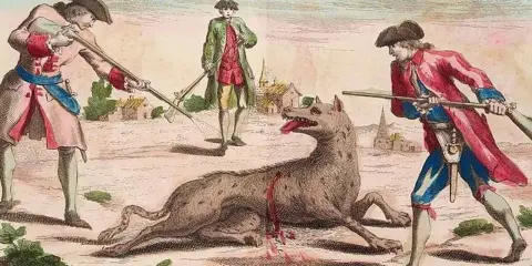 Trzech mężczyzn z bronią w ręku otacza rannego wilka, który przypomina bestię z Gévaudan.