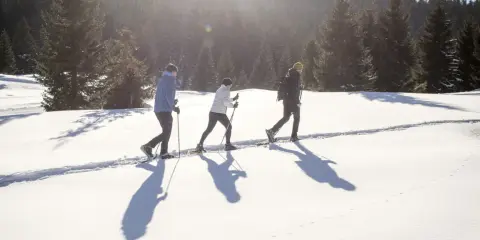 Tre persone camminano con le ciaspole su un sentiero innevato, godendosi le escursioni invernali in Trentino.
