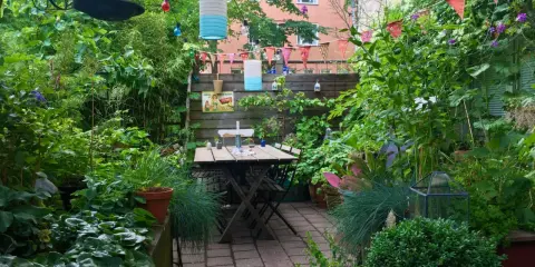 En lummig innergård med ett träbord och stolar, omgivet av grönska. En **klematis i kruka** klättrar längs staketet, och färgglada lyktor hänger från träden.