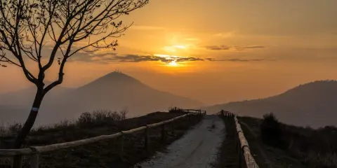 Sentiero sul pianoro del Mottolone al tramonto, con un albero spoglio in primo piano e colline nebbiose all'orizzonte.