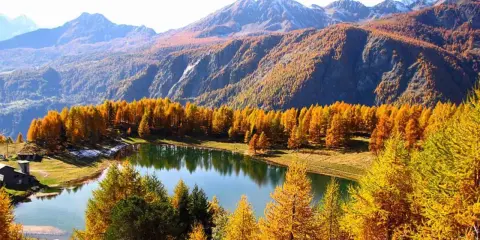 Autunno dorato al lago di Lod, con larici fiammeggianti che si specchiano nelle acque tranquille, montagne maestose sullo sfondo.