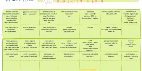 Przepisy na obiadki dla 7-miesięcznego dziecka: zupy, placki, kasze, omlety, warzywa i owoce. BLW dzień po dniu.
