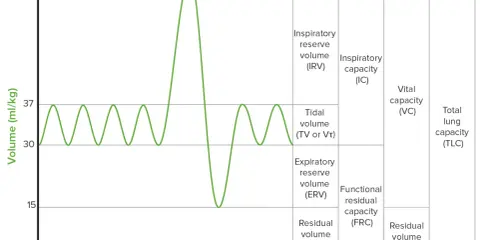 Diagramm zeigt Lungenvolumina, wie Tidalvolumen, Inspiratorisches Reservevolumen und Residualvolumen (RV).