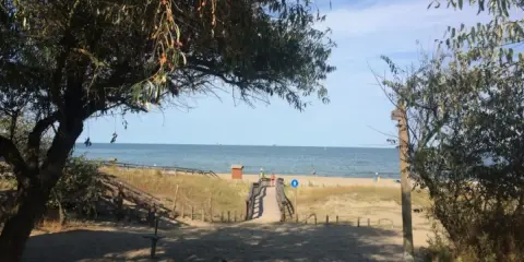 Sentiero sabbioso verso la spiaggia libera colonia marina, con alberi e mare all'orizzonte.