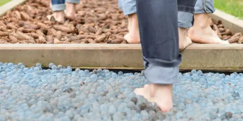 Ścieżka sensoryczna: DIY czy gotowa? Rozwijaj zmysły dziecka!