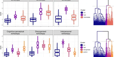 Graphiques comparant des scores de schizotypie (cognitivo-perceptuelle, désorganisée, interpersonnelle) par cluster. Un test schizotypique révèle des tendances.