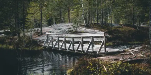 Drewniany mostek nad ciemną wodą, otoczony lasem i skałami. Piękny krajobraz w okolicach Drammen, Norwegia.