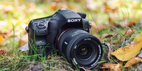 Lustrzanki Sony: Koniec produkcji. Używane SLT czy bezlusterkowce?