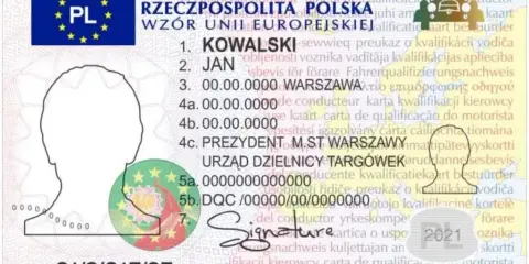 Świadectwo kwalifikacji zawodowej: Twój klucz do lepszej pracy?