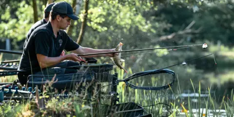Wędkarz trzyma rybę, a feederowe szczyptówki w różnych kolorach sygnalizują brania.