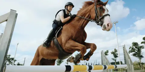 Reiterin und braunes Pferd springen über Hindernis. Tolle **Springparcour Ideen** für Training und Wettkampf.
