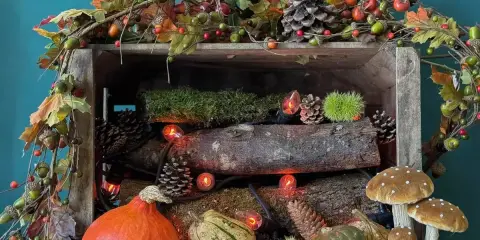 Décoration automne facile à faire : citrouilles, pommes de pin, guirlande de feuilles et champignons dans une caisse en bois.