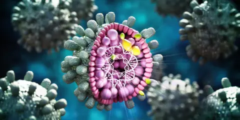 Detaljerad bild av hepatit B-virus. Inkubationstiden kan variera, men viruset sprider sig snabbt.