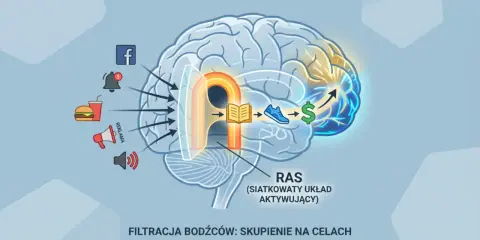 Mózg filtruje bodźce, kierując uwagę na cele, zgodnie z teorią przyciągania. Od książki do butów i pieniędzy, przez RAS.