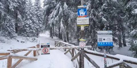 Szlaki w Karkonoszach: Sprawdź dostępność i uniknij lawin