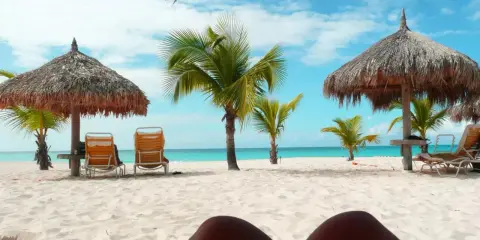 Soligt och varmt på Aruba i december. Palmer, parasoller och tomma solstolar på en vit sandstrand vid turkost hav.
