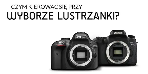Lustrzanka dla początkujących 2026: Opłacalny wybór na start?
