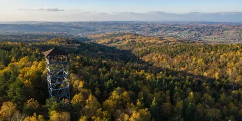 Szpilówka wieża widokowa góruje nad jesiennym lasem. Z jej szczytu rozpościera się malowniczy widok na pagórkowaty krajobraz.