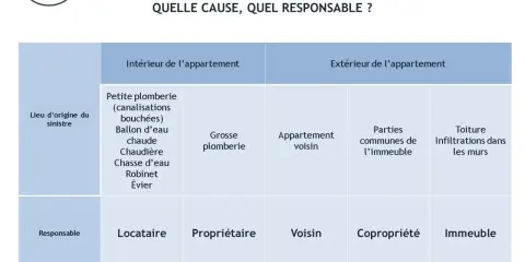 Tableau "Dégât des eaux : Quelle cause, quel responsable ?" montrant les origines (intérieur/extérieur) et les responsables (locataire, propriétaire, voisin, copropriété, immeuble) d'un dégât des eaux.