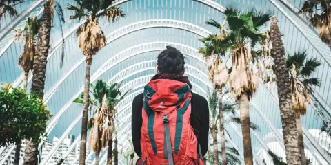 Viaggiatore con zaino rosso sotto palme e architettura moderna. La traduzione di "daffodils" è narcisi, ma qui non ci sono fiori.