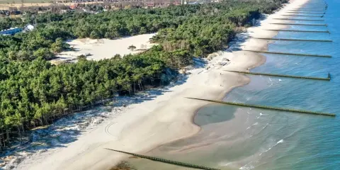 Piękna plaża w Rogowie z sosnowym lasem w tle i drewnianymi falochronami w morzu.