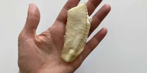 Un trozo de lenguado bebé, cocido y tierno, descansa en una mano abierta.