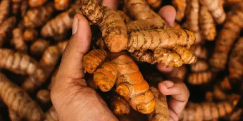 Dłoń trzyma świeżą kurkumę. Ta przyprawa, znana z właściwości przeciwzapalnych, pomaga na wiele dolegliwości.