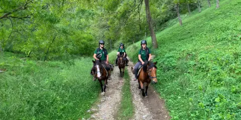 Tre persone fanno passeggiate a cavallo in un bosco verdeggiante in Piemonte.