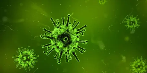 Virus verdi luminosi su sfondo verde scuro, che ricordano l'influenza suina.
