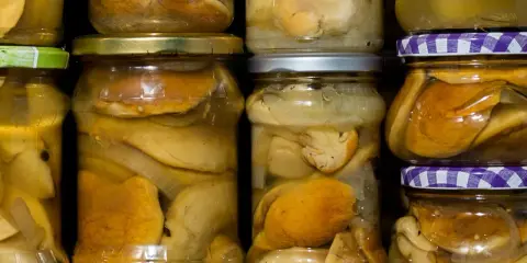Słoiki pełne grzybów marynowanych, przygotowanych na zimę. Widać kawałki grzybów i cebuli w zalewie.