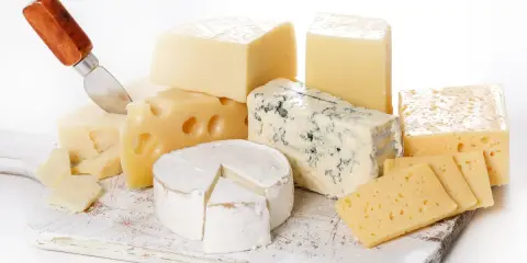Varietà di formaggi senza lattosio: un pezzo di formaggio erborinato, un brie, formaggi a pasta dura e svizzero, pronti per essere gustati.