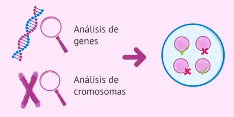 Análisis genético y cromosómico para detectar si la esclerosis múltiple es hereditaria.
