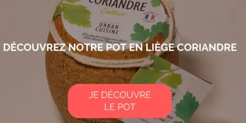 Pot en liège pour cultiver de la coriandre, idéal pour un potager urbain.
