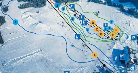 Koziniec ski