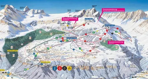 Braunwald