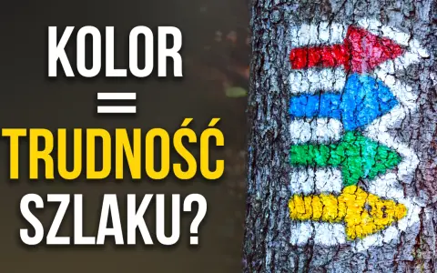 Kolorowe strzałki szlaku turystycznego namalowane na korze drzewa.