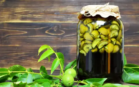 Słoik z orzechówką, przygotowaną według starego przepisu. Zielone orzechy włoskie w ciemnym płynie, obok gałązka z liśćmi i niedojrzałe orzechy.