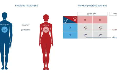 Kobieta z chromosomami XY? Zrozum złożoność biologii płci
