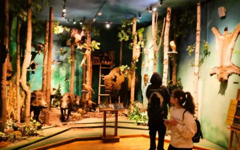 Muzeum Łowiectwa i Jeździectwa: Łazienki Wystawy, bilety, dojazd