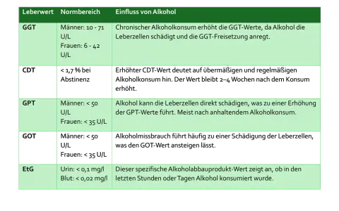 Tabelle zeigt Leberwerte (GGT, GPT, EtG) und deren Zusammenhang mit Alkoholkonsum. Wichtig für kontrolliertes Trinken und MPU.