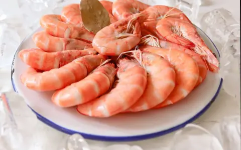 Un plato blanco con borde azul lleno de langostinos cocidos, adornado con una hoja de laurel y rodeado de hielo.