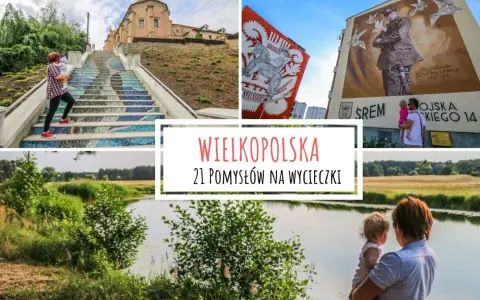 Wielkopolska: co zwiedzić? Odkryj skarby regionu z ekspertem!