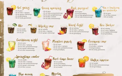 Domowy drink bar DIY: poradnik, przepisy i lista zakupów